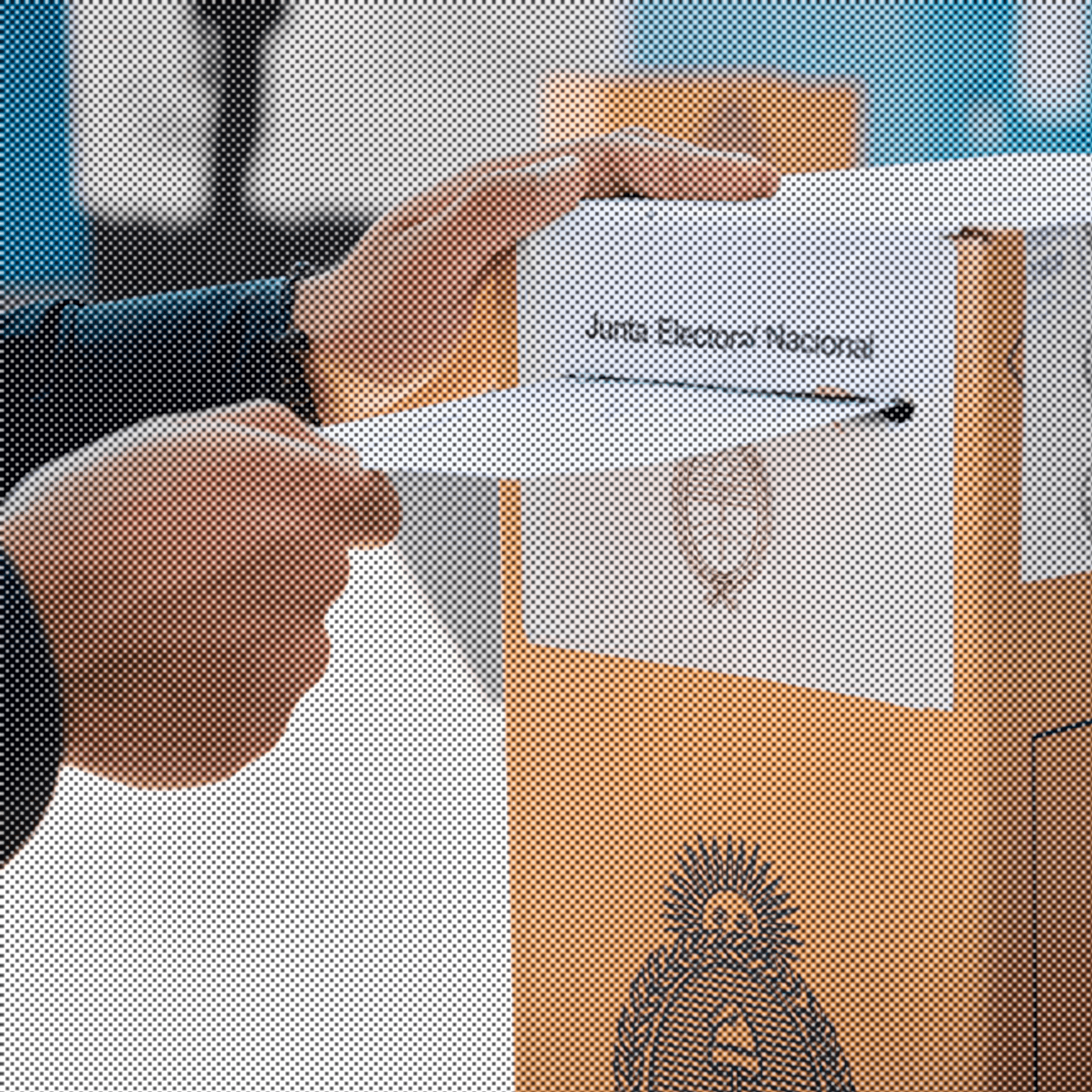 participación democrática